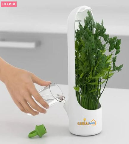 Image of CONSERVADOR DE HIERBAS Y VEGETALES